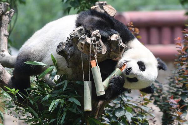 幸福牛肉酱:有了它,我可以天天吃白米饭_9929金融交易