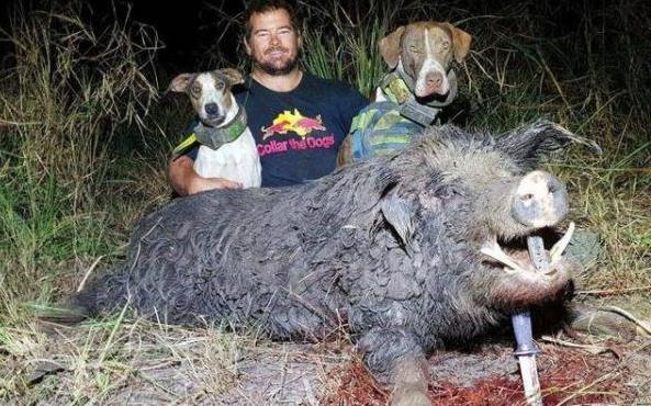 中国各线城市最好民办大学排名