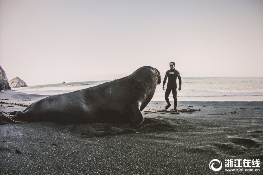 新天皇:牛津海归曾勇敢护妻 要求正确传递历史