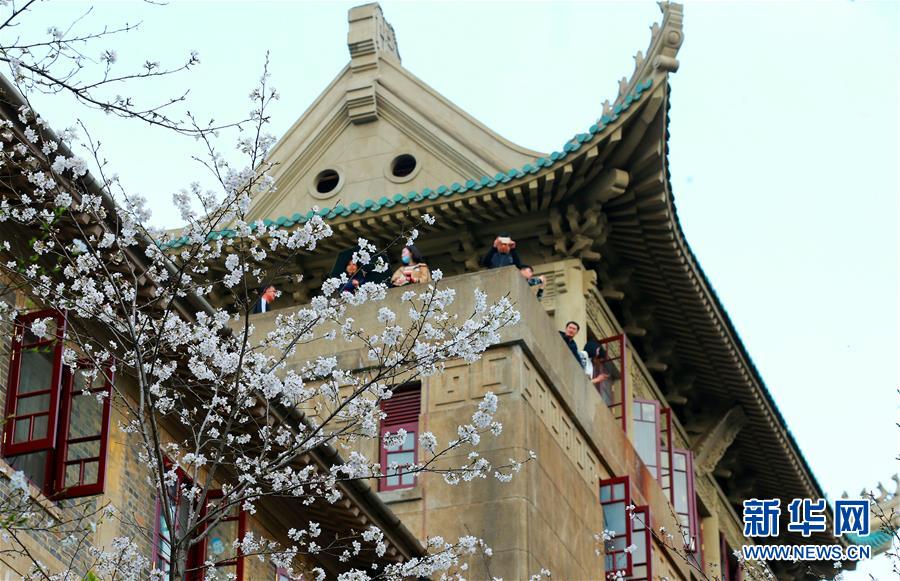 KIM域名多少钱一年_游戏云服务器