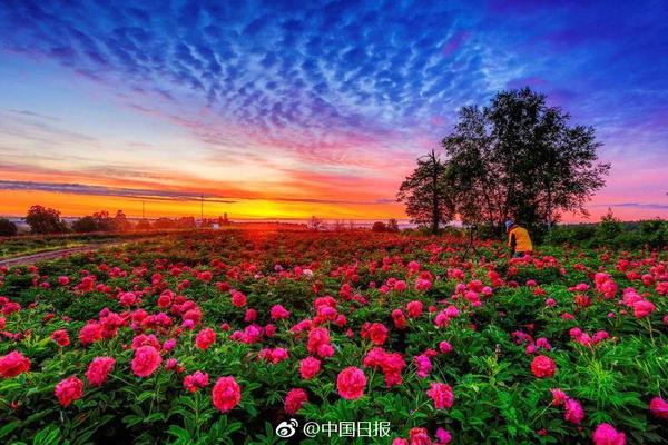 实拍:城管粗暴铲翻老太菜摊