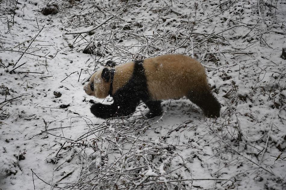 五一假期首日这些路段车流量大 请注意出行安全_CN2服务器高并发