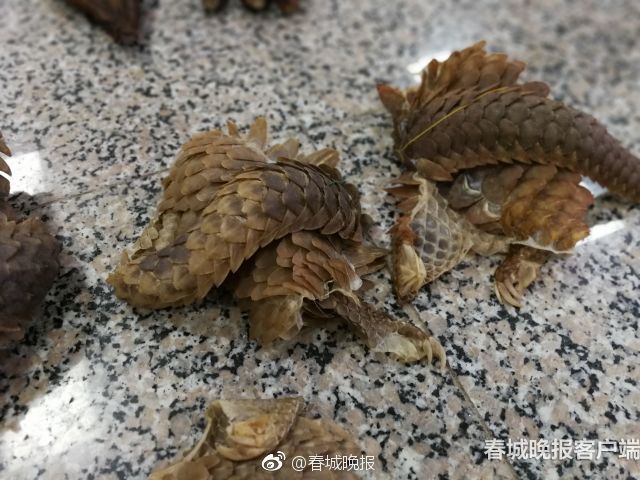 北京西城幼升小片区内登记入学 取消“多校划片”_CN2服务器常见问题