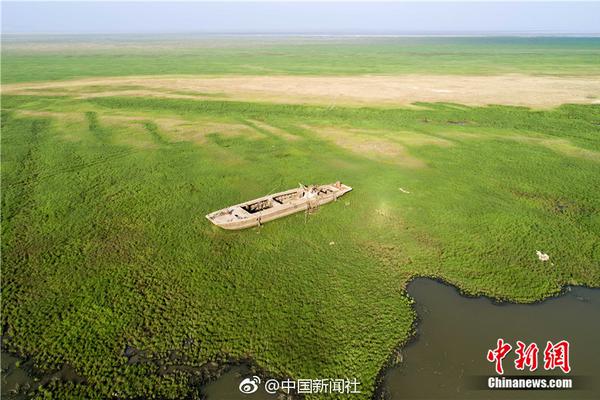 勇者无畏,且看国乒,问鼎江山万里如初💪 