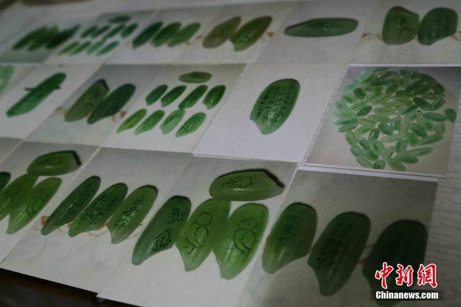 .COM域名价值几何_轻量应用服务器