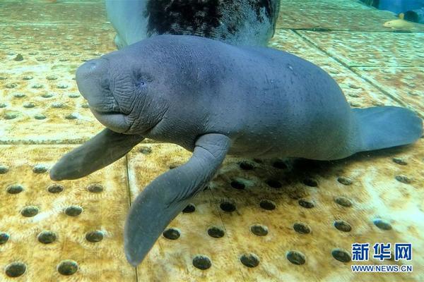 鹤岗“白菜房价”背后去与留:孩子们再难回故乡扎根