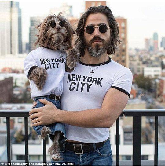 .CLICK域名_域名及账户问题