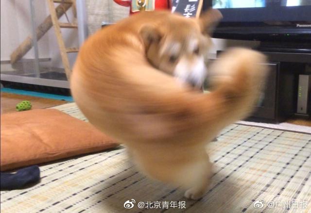 OV SSL和EV SSL有什么区别