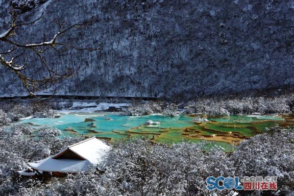 “父姓加母姓”起名现象悄然兴起_稳定云服务器