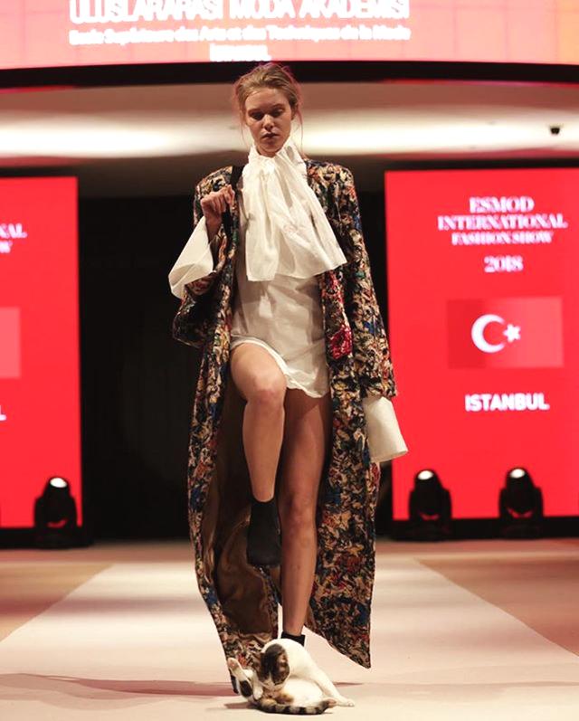 央行将发行2019年版第五套人民币_9929低延迟VPS