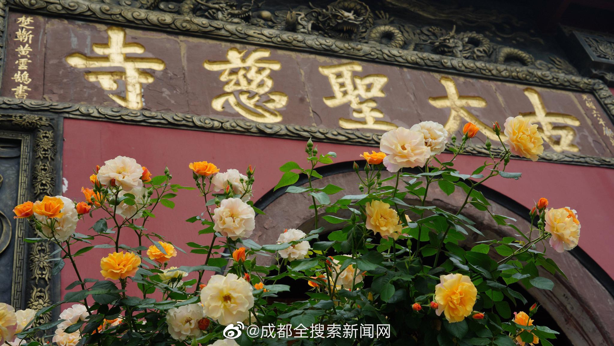 2024双11云主机哪里买更划算_挂机宝爬虫