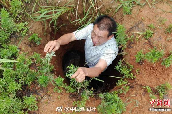 5年的域名需要多少钱_云电脑零信任