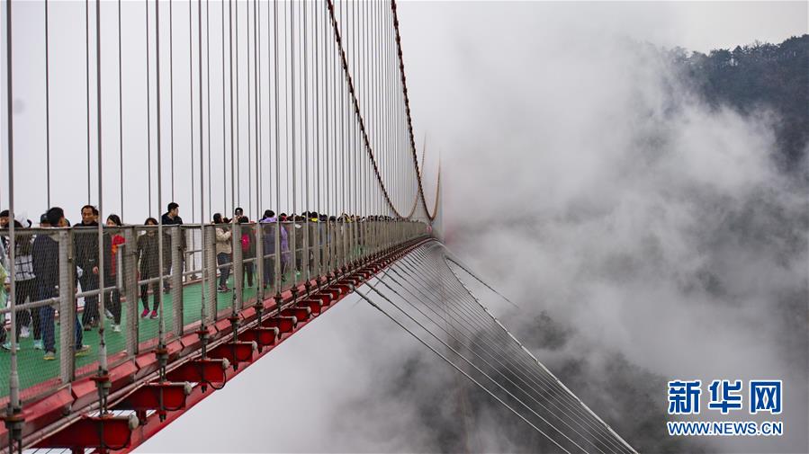 三星一季度营收452亿美元 净利44亿同比降57%_UCloud云服务器