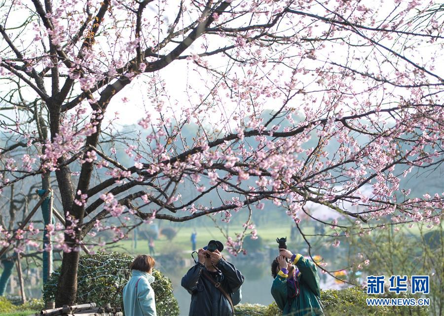 CBA下季新赛制:常规赛4组循环 增至46轮_挂机宝CI/CD