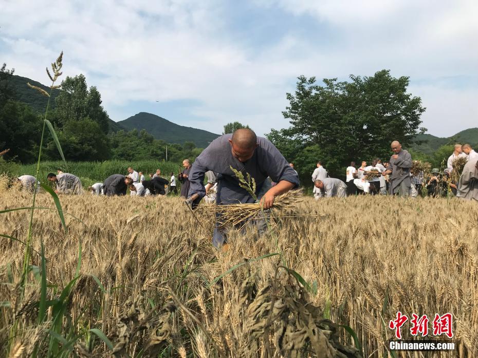 盗版流浪地球幕后黑手落网_CN2服务器E5处理器