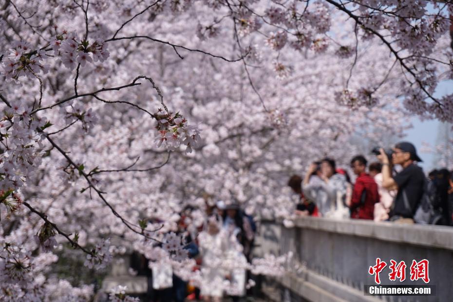 这条易被忽视的重要原则,决定了谁是未来最大赢家_云端电脑