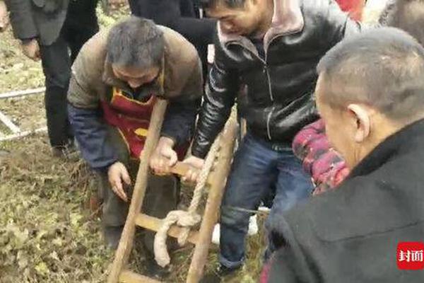 BGP云服务器_挂机宝不支持3D游戏