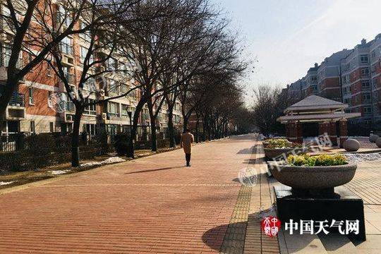 DNS设置选项