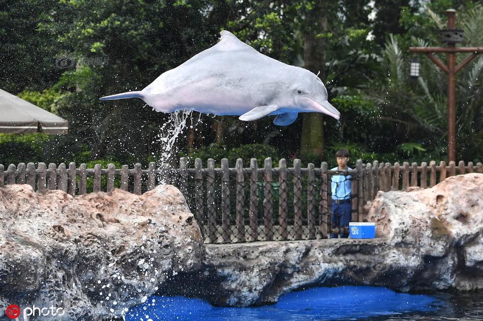 2019版第五套人民币出炉 来看看长啥样(图)_域名及账户问题