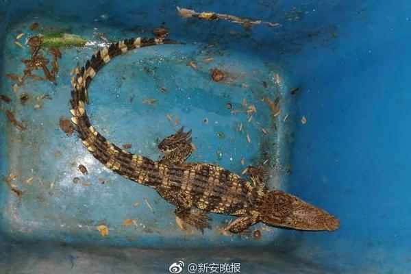中国航母上演震撼一幕 网友:看完有哭的冲动
