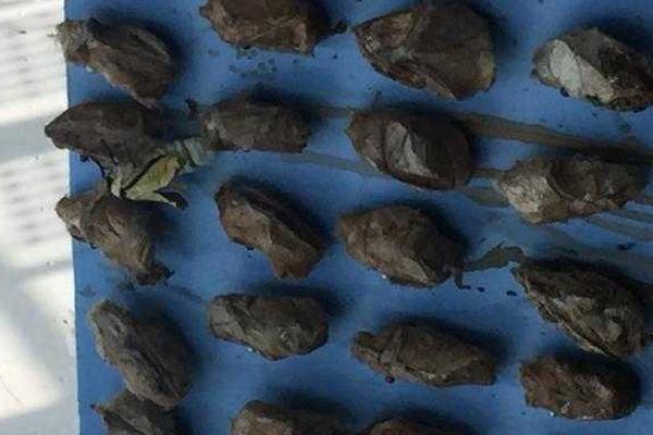 不要钱可以开通域名店铺_云电脑跨平台