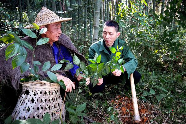 CC防护多少钱_国内云服务器提供商