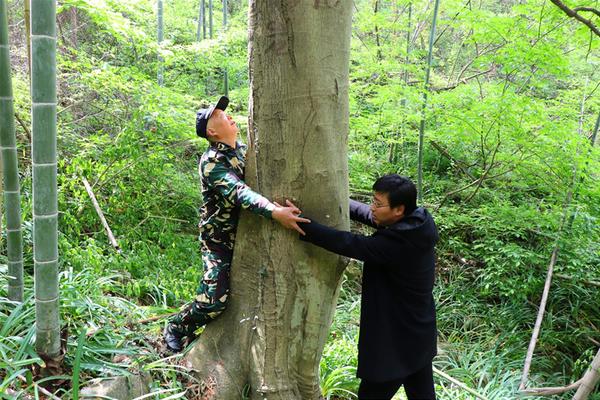 KIM域名可以备案吗_9929联通用户