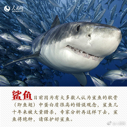 职业年金是什么 入市之后会怎样？