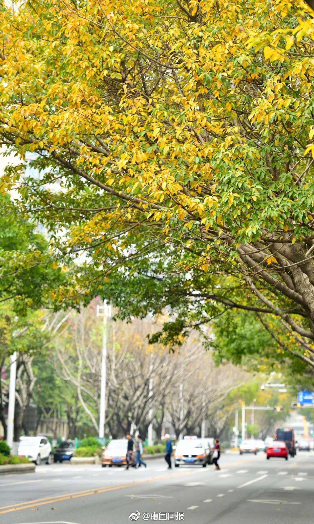 .KIM域名续费一年多少钱_香港CN2服务器租用
