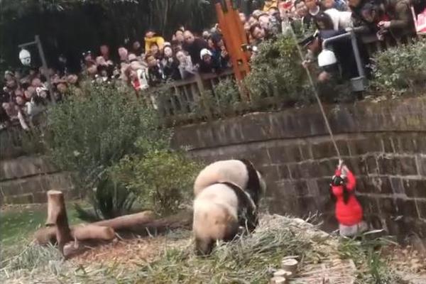 绑定域名需要加www.吗_挂机宝代理分销
