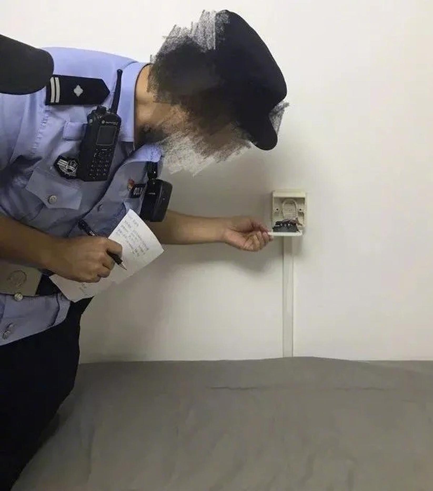 成都大熊猫繁育研究基地再添龙凤胎大熊猫_好的云服务器提供商