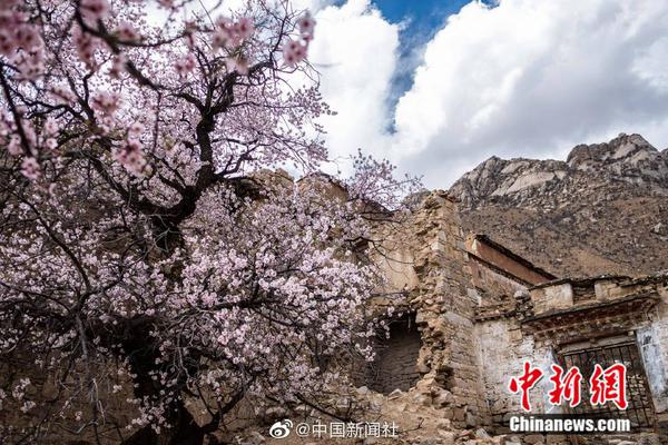 孩子集邮知识你了解多少?_云服务器有什么用