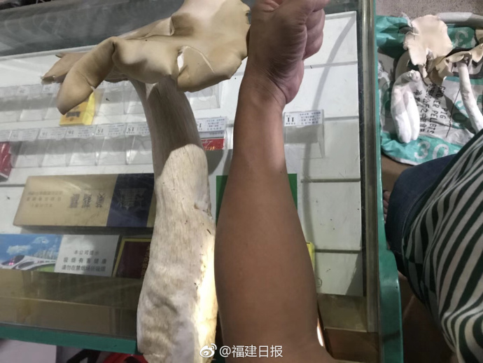 这家公司年报被
