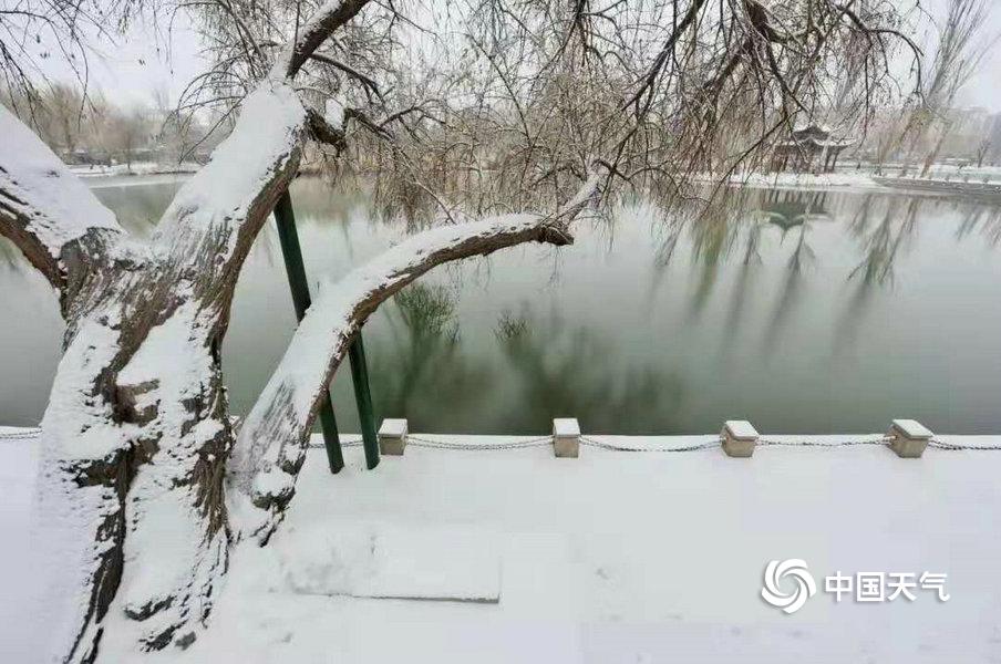 你愿意花十万美元让死去的宠物狗克隆“复活”吗?