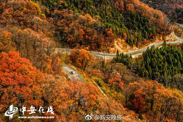 .COM域名注册现在哪里便宜_CN2 VPS