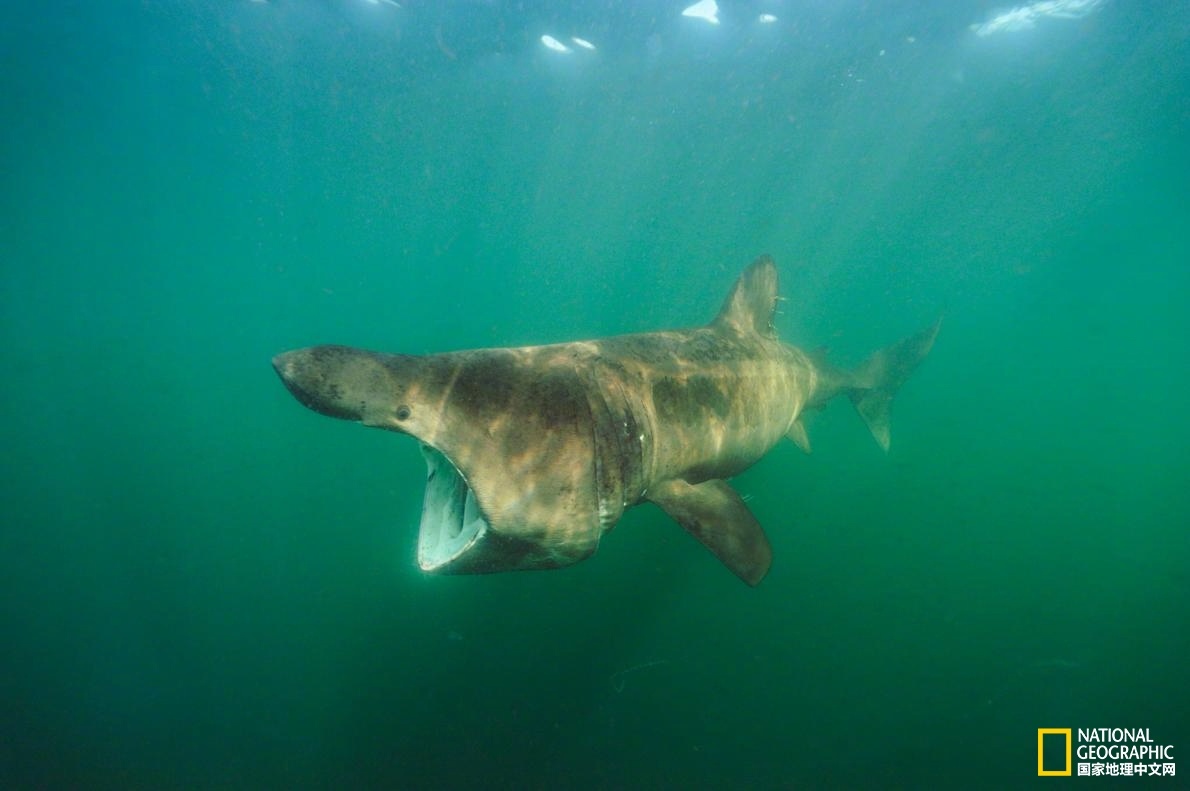 云服务器是卫星吗