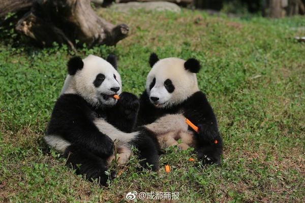企业域名怎么申请购买_9929直连回国