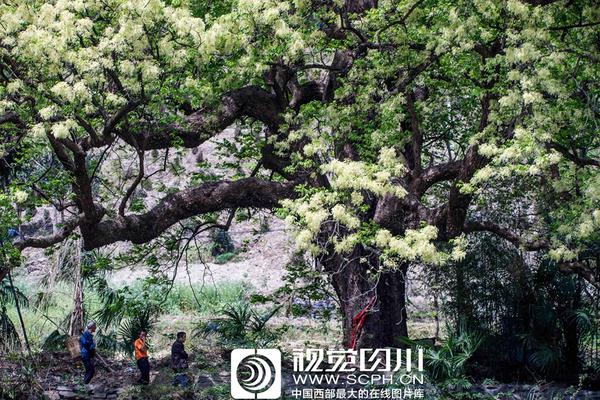 让人不寒而栗的动物界