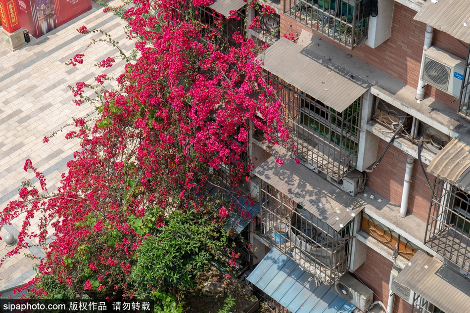 .XYZ域名是什么意思_商标注册