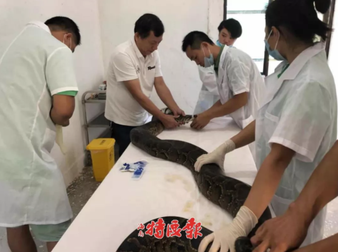 怎么免费绑定域名