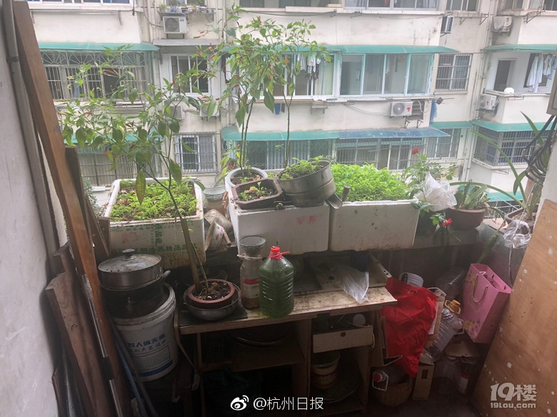 DDoS防护_9929免备案