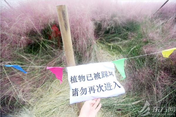 《复联4》距离《战狼2》,还差几个《流浪地球》