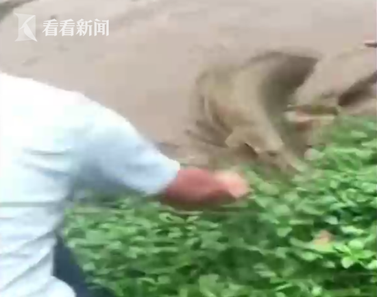 流浪地球侵权案告破!吴京称盗版砸创作者饭碗,片源流失影响产业