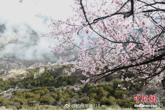 XYZ域名有人用吗_挂机宝防攻击