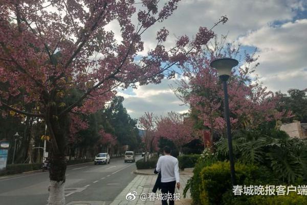 财运不知不觉到来的3生肖,财源滚滚,大获钱财!_云电脑永久免费