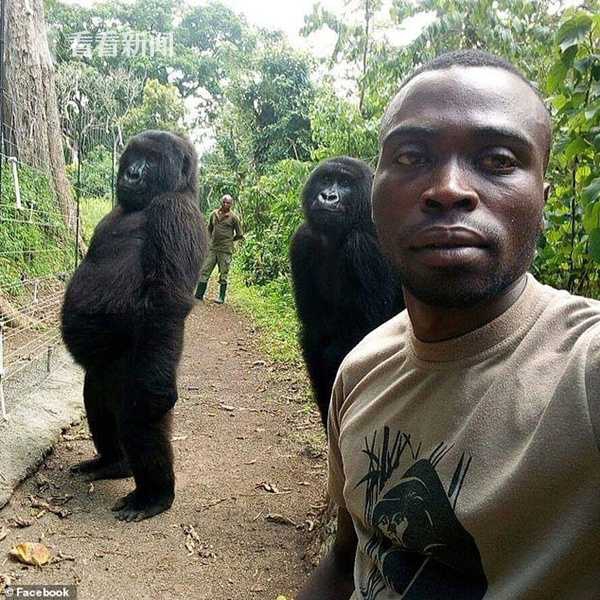 5月八方来财,事业喜获丰收的3个生肖_云电脑手机接入
