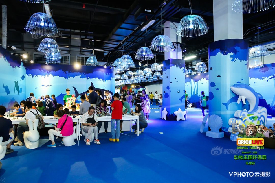 企业域名怎么申请购买_阿里云服务器