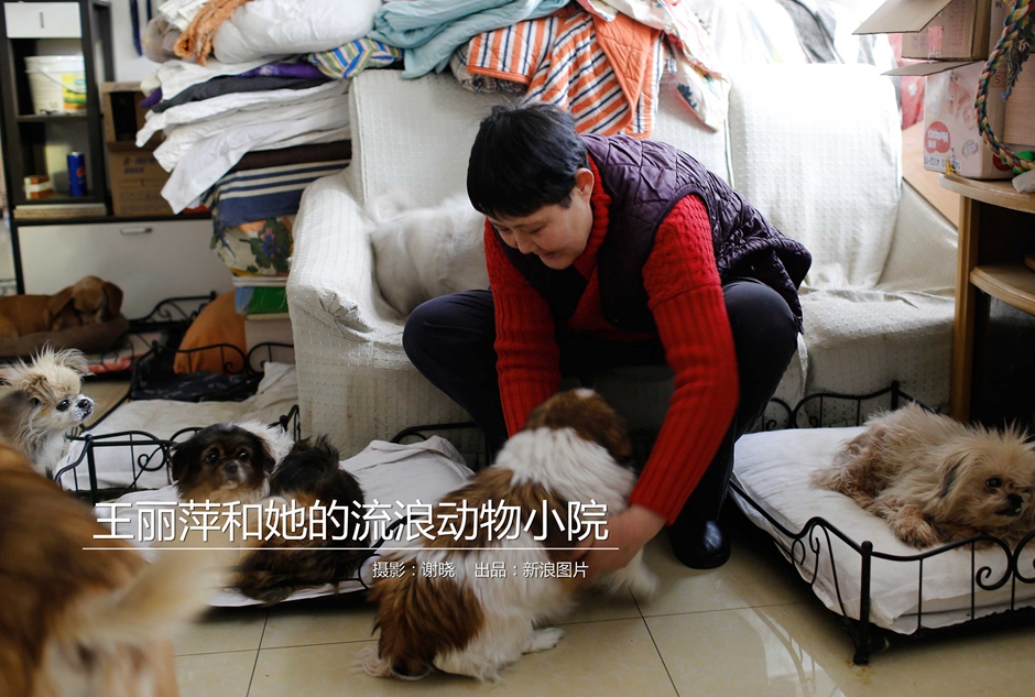 郭晶晶三儿女萌照 哥哥照顾妹妹_挂机宝挂QQ