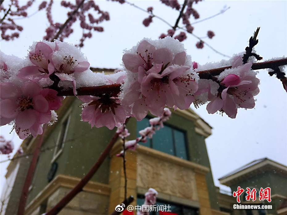 .ART可以备案吗