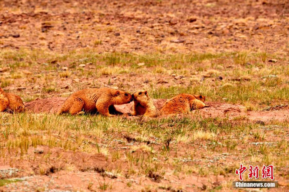 夏天的第一条短裤 要运动点才够时髦_CN2企业邮箱